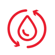 Insignia