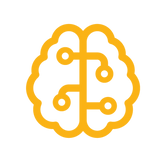 Enhance Brain Function