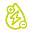Insignia