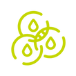 Insignia